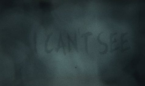 807631052_640