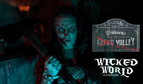 vidcover-wickedworld1