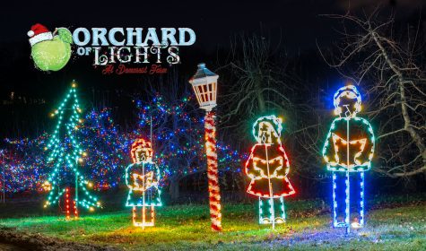 Christmas Light Show Videos