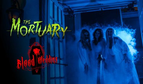 vidcover_mortuary